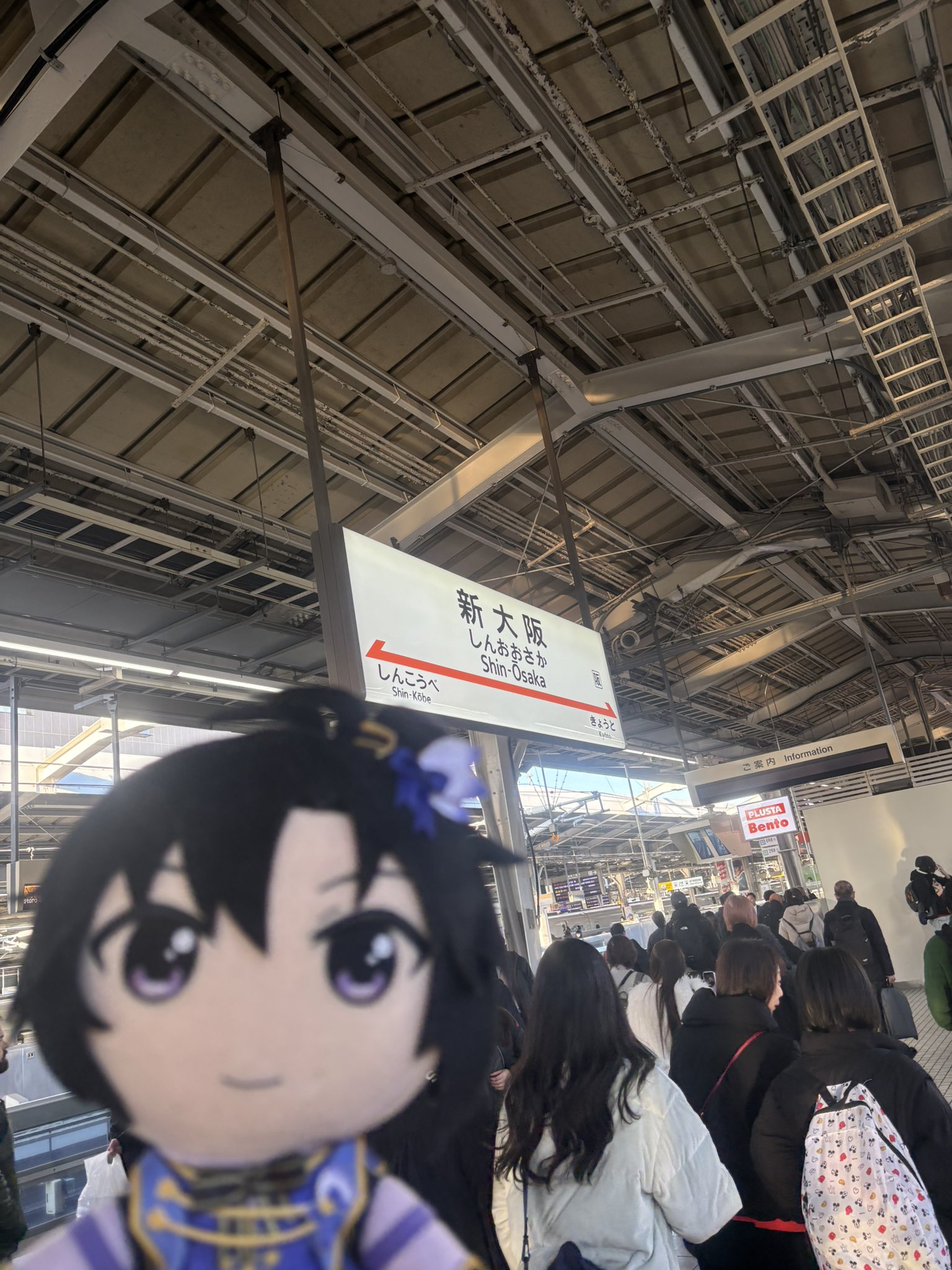 Featured image of post MOIW2025を見るために北海道から脱出した話